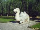 thumbs/pic_0046.jpg