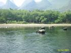 thumbs/pic_1140.jpg